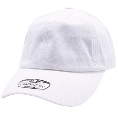 Pitbull Cotton Dad Hat